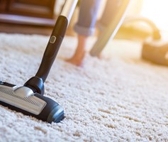 Charles Hope Apartments With Vacuum Cleaner Hoover