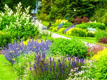 Birmingham Botanical Gardens