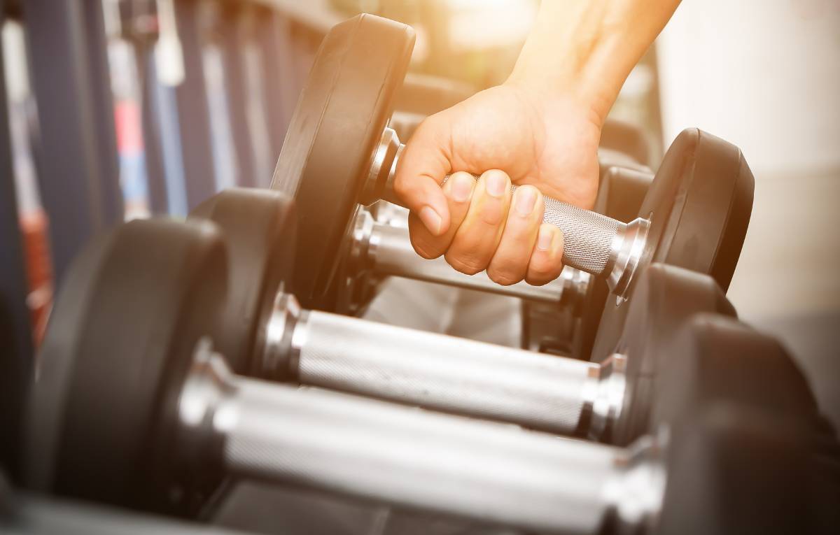 Someone holding dumbbells in a gym