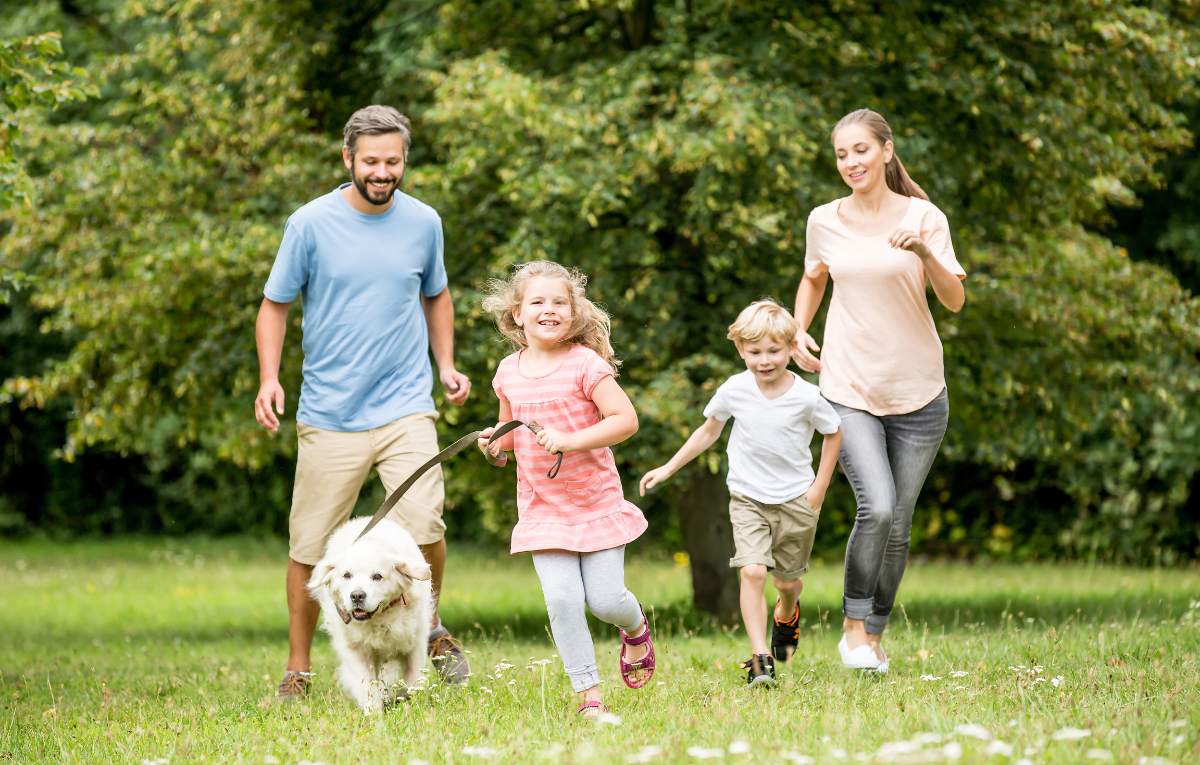 To Do In Spring Cover