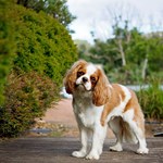 Courtney Mihaka Ec9fvxcbf7o Unsplash