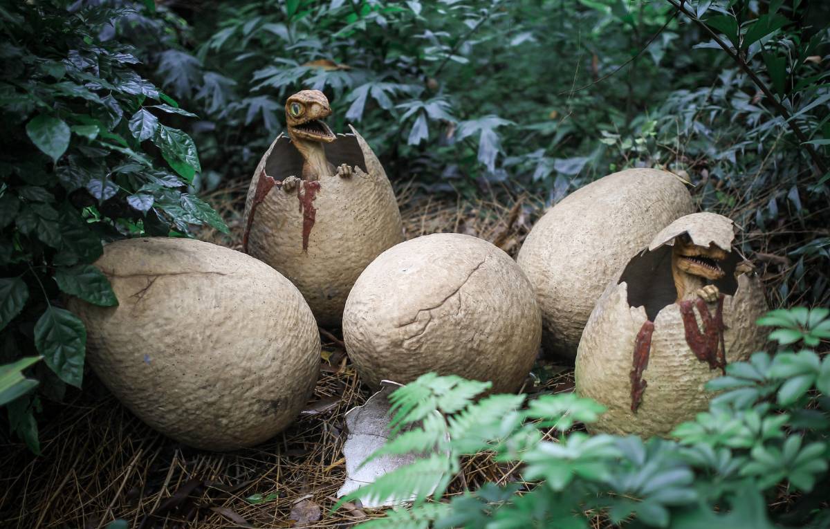 Dinosaur eggs hatching