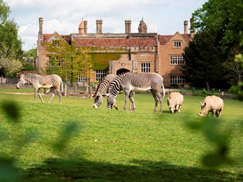 Marwell Zoo