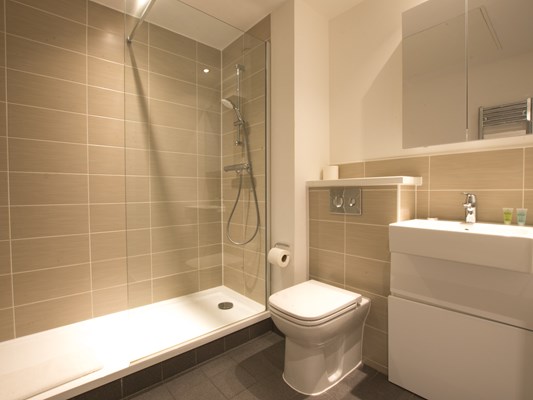 Charles Hope Apartments 1 Bedroom Apartment Bathroom.R(1)
