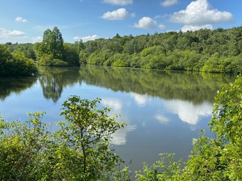 Golden Acre Park